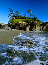 Waves along  the beach on South Beach Trail, Pacific Rim National Park. Vancouver Island, British Columbia, Canada