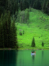 Fishermen fishing from a canoe on Emerald Lake, Yoho National Park, Rocky Mountains, British Columbia, Canada