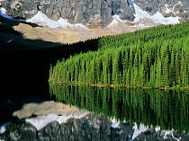 Mountain forest reflections on Moraine Lake, Banff National Park, Rocky Mountains, Alberta, Canada