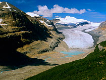 Saskatchewan Glacier and peaks in Banff National Park, Rocky Mountains, Alberta, Canada