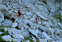 Hikers crossing a scree field in the Collada de Saburo Pass along the  'Carros de Foc' route,  Aiguestortes i Estany de Sant Maurici National Park, Pyrenees, Catalonia, Spain. Model released