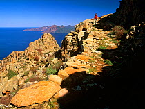 Hiker walking the Calanche de Piana, Corse-du-Sud, Corsica Island, France, Model released.