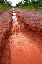 Erosion of murram road after rainstorm in wet season, Boukoko village, Central African Republic March 2012