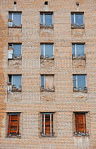 Ruins of the Soviet coal mine city Pyramiden, windows in building with birds nesting, abandoned in 1998, Svalbard, Norway 2011