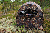 Photography tent / hide, set up for bear watching, Karmansbo, Vastmanland, Sweden August 2011