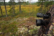 Camera lenses from photogrpahy hide tent, set up for photogrpahing  bears, Karmansbo, Vastmanland, Sweden August 2011
