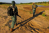 The anti poaching patrol in action, walking across landscape, iMfolozi National Park, South Africa October 2011