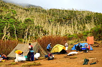 People relaxing at Machame Camp (3010 m) on Mount Kilimanjaro trek, Tanzania, October 2008