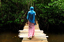 Local woman walking across wooden walkway through the mangroves of Jozany Forest, Zanzibar Island, Tanzania, East Africa