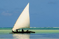 Dhow fishing boat on the East Coast of Jambiani, Zanzibar Island, Tanzania