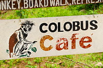 A sign for the Colbus Cafe in the Jozany Forest . Zanzibar red colobus (Piliocolobus kirkii), Jozany Forest, Zanzibar, Tanzania. Highly endangered