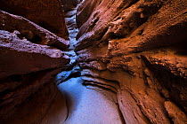 Reflected light creating color gradients in a mud slot canyon in Mecca Hills Wilderness north of Salton Sea, California, USA, January