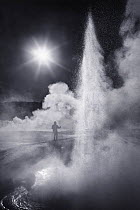 A skier glides past an erupting geyser in the Old Faithful geyser basin in  Yellowstone National Park. The cold temperatures in the winter cause the geysers to release more steam than usual making the...