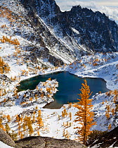 Enchantment Lakes in early winter snow with Larch trees bearing  autumn leaves,   Alpine Lakes Wilderness, Central Cascade range, Washington, USA, November 2011.