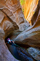 Woman rappelling down one of the many technical sections of Boundary Canyon, Zion National Park, Utah, USA, June 2012. Model released