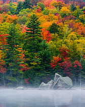 Autumn colors along the shores of Pharaoh Lake in Adirondacks park, New York, USA. October