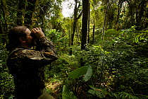 Ornithologist Edwin Scholes watching birds in the rain forest of the Arfak Mountains, Indonesian New Guinea 2009