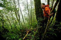 Ornithologist Edwin Scholes hiking through the misty montane forest of the Arfak Mountains, New Guinea, Indonesia 2009