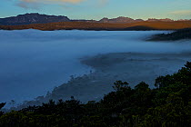 Early morning fog blankets Lake Habbema with the crest of the Jayawijaya Mountains in the background, New Guinea, Indonesia 2010