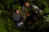 Photographer Tim Laman and Ornithologist Edwin Scholes in a blind to capture the Wahnes's Parotia, Papua New Guinea 2011