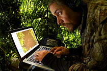 Ornithologist Ed Scholes at computer station in blind, operating remote controlled cameras to capture the Wahnes's Parotia, Papua New Guinea, 2011