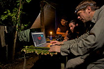 Photographer Tim Laman checking digital pictures on his laptop at his rain forest camp site in the mountains of Batanta Island, whilst Ornithologist Edwin Scholes and Samkris Tindige look on, Papua N...