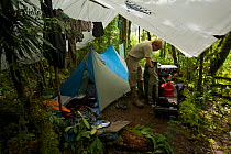 Photographer Tim Laman packs up gear at his camp site in the Foja Mountains, Papua, New Guinea 2007