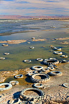 Old automobiles tyres on the shore of the Salton Sea, with gulls and industrial plant in the background. Salton Sea National Wildlife Refuge, California, USA, October 2010.