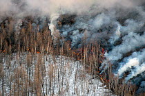 Fires as the Plosky Tolbachik Volcano erupts, Kamchatka Peninsula, Russia, 5 December 2012