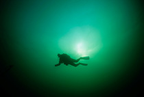 Technical Diver in dry suit exploring Emerald Sea. Vancouver Island, British Columbia, Canada, Pacific Ocean