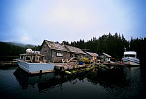 Hide-a-way Dive Lodge in Queen Charlotte Strait, British Columbia, Canada, North Pacific Ocean.
