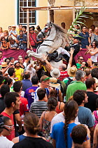 Man riding a grey Andalusian stallion, performing the bot or walking courbette of the Doma Menorquina, during the festival Mare de Deu de Gracia, in Mahon, Menorca, Spain 2012.  People try to touch th...