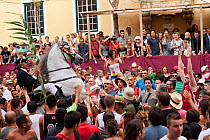 Man riding a grey Andalusian stallion, performing the bot or walking courbette of the Doma Menorquina, during the festival Mare de Deu de Gracia, in Mahon, Menorca, Spain 2012.  People try to touch th...