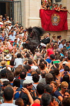 Man riding a black Menorquin stallion, performing the bot or walking courbette of the Doma Menorquina, during the festival Mare de Deu de Gracia, in Mahon, Menorca, Spain 2012.  People try to touch th...