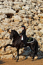 Woman riding a black Menorquin stallion, performing Spanish passage dressage steps, Talaiot de Trepuco, near Mahon, Menorca, Spain 2012. Model released.