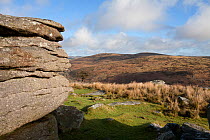 Combestone Tor in Dartmoor National park moorland. Bronze-age 'Reave' lines can be seen on the far hill. UK, February.