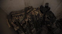 THIS VIDEO CLIP WILL BE AVAILABLE TO VIEW ONLINE SOON. TO VIEW NOW, PLEASE CONTACT US. - Confiscated ammunition and African elephant (Loxodonta africana) ivory in storeroom, Zakouma National Park, Cha...