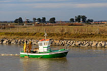 Fishing boat returning from catching eels. Bourgneuf, West France, March 2010.