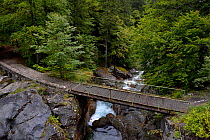 Bridge over stream at 'du pas de l'ours'. French Pyrenees, September 2012.