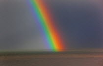 Rainbow, during rain storm, Weybourne, Norfolk, UK, November