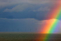 Sherringham off shore windfarm in distance, and rainbow during storm, Weybourne, Norfolk, November