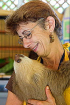 Hoffmann's Two-toed Sloth (Choloepus hoffmanni) caretaker, Claire Trimer, holding orphan baby, Aviarios Sloth Sanctuary, Costa Rica. Model released