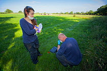 Defra Field Workers prepare personal protection equipment and vaccine for use on European Badgers (Meles meles) as part of bovine tuberculosis (bTB) vaccination trials on farmland, with cows in the ba...