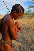 A young Zu/'hoasi Bushman hunter looks for Spring Hare (Pedetes capensis) burrows on the plains of the Kalahari. The long stick has a hook on the end and is inserted into a burrow to catch the hares....