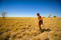 A young Zu/'hoasi Bushman hunter searches for Spring Hare (Pedetes capensis) burrows on the vast open plains of the Kalahari, Botswana. April 2012.