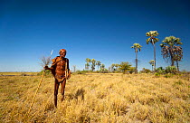 An elderly Zu/'hoasi Bushman carrying a spear, bow and quiver of arrows on the plains of the Kalahari, Botswana. April 2012.