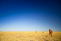 Zu/'hoasi Bushman hunters on the open grasslands of the Kalahari, Botswana. April 2012. No release available.