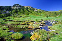 Clots de Rialba, Alt Pirineu Natural Park, High Pyrenees, Lleida Province, Spain, July