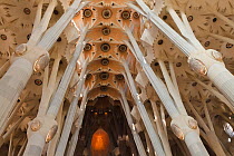 Basilica and Expiatory Church of the Holy Family / Basílica y Templo Expiatorio de la Sagrada Familia, designed by architect Antoni Gaudi, Eixample district, Barcelona City, Spain, November 2011