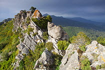 Carbonaria Mountain Range, Tossal Gros de Miramar, Tarragona Province, Spain, May 2012